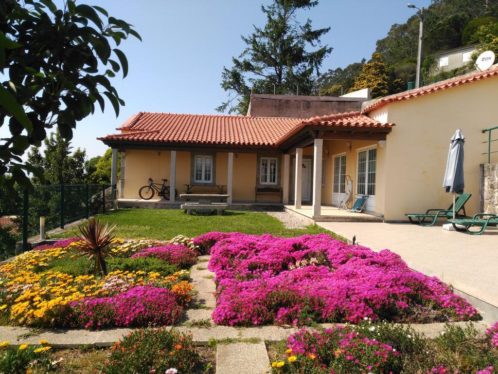 Lovely Sunny-House Viana do Castelo Ngoại thất bức ảnh