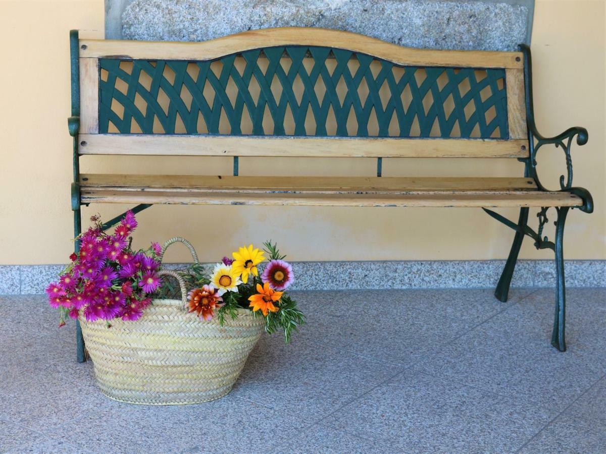 Lovely Sunny-House Viana do Castelo Ngoại thất bức ảnh