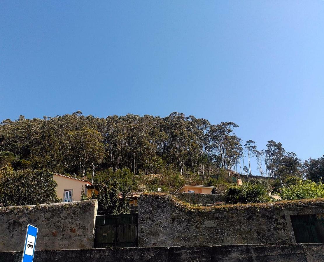 Lovely Sunny-House Viana do Castelo Ngoại thất bức ảnh